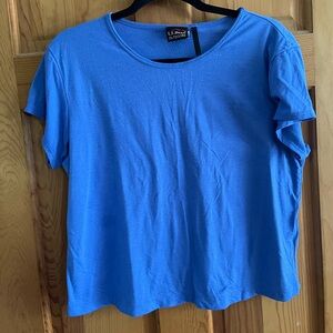 LLBean outdoors women’s Basic Tee Short-Sleeve Crewneck blue Size Large y2k vtg